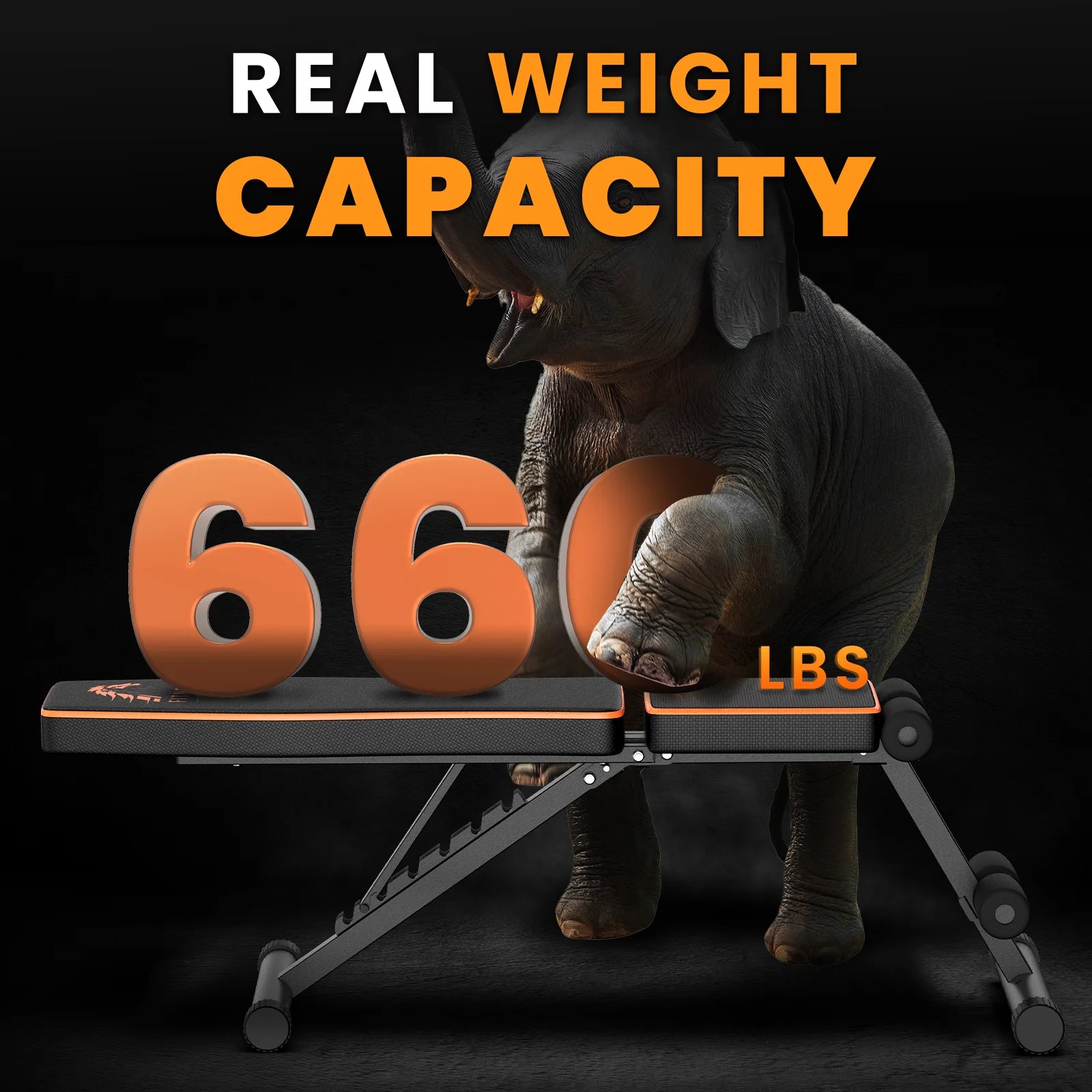 Adjustable Folding Fitness Workout Bench