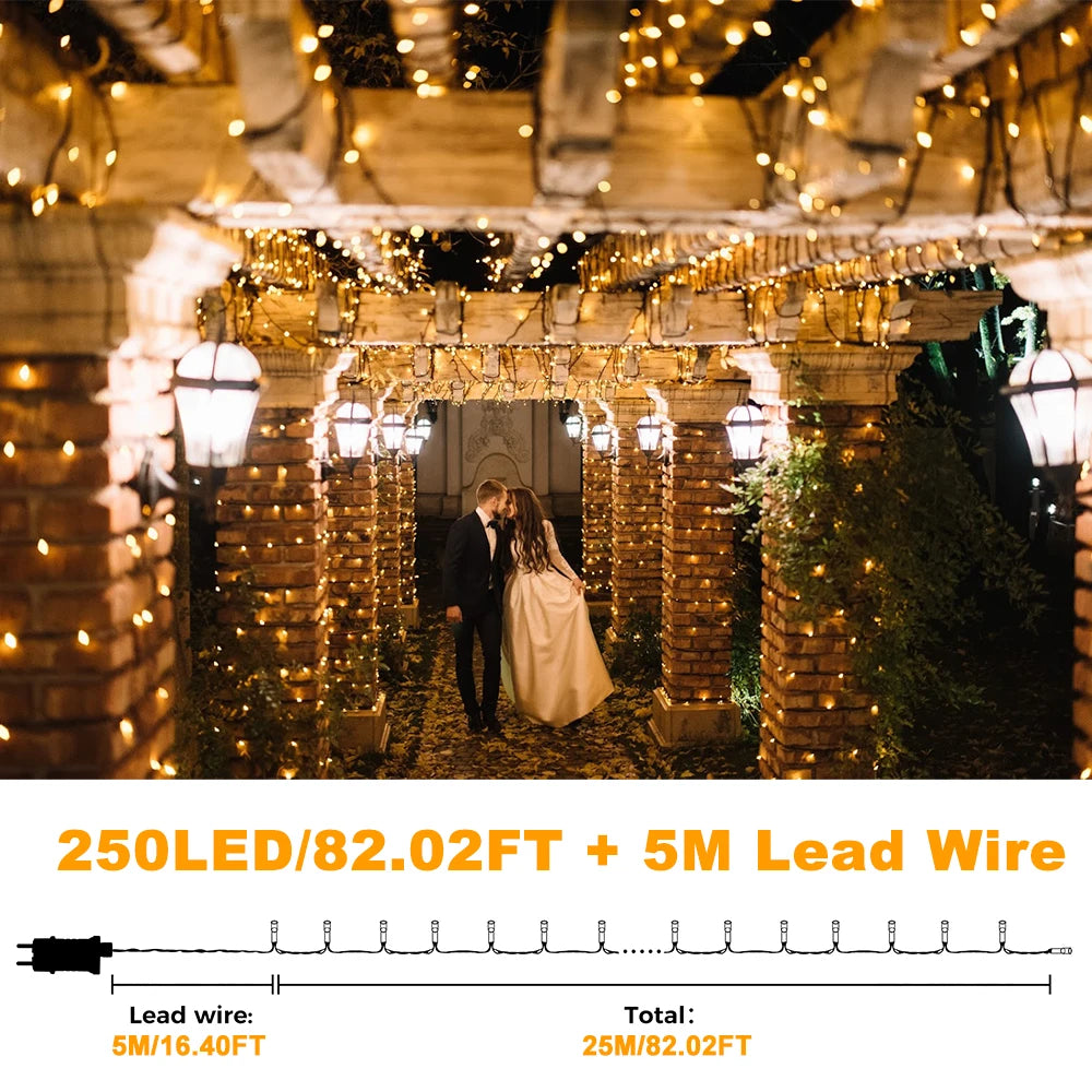 Fairy LED String Lights