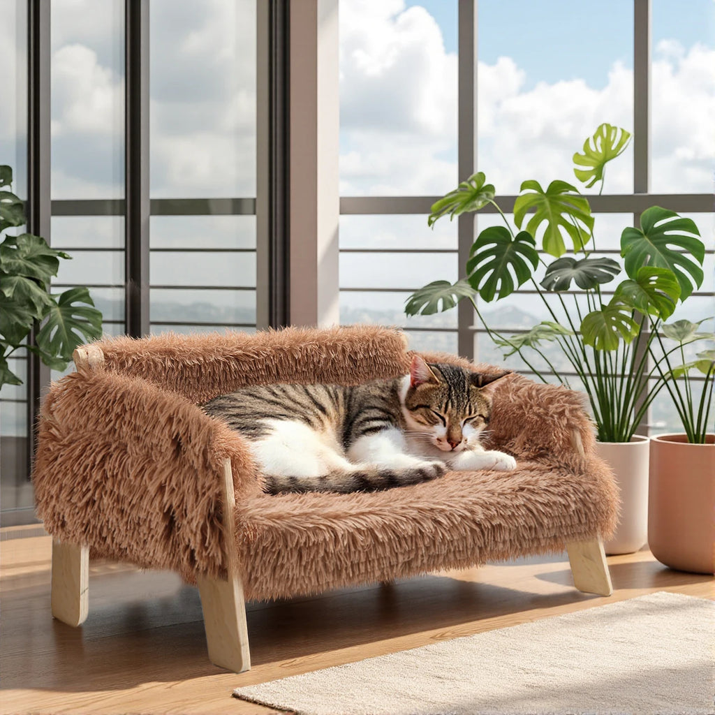 Wooden Leg Raised Plush Cat Sofa Bed