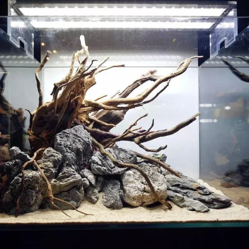 Natural Wooden Small Habitat Roots Fish Tank Decoration