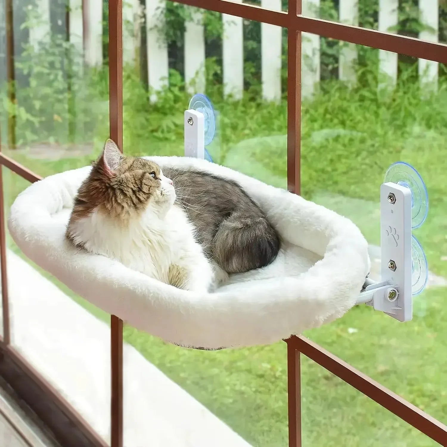 Cat Glass Hanging Suction Cup Hammock