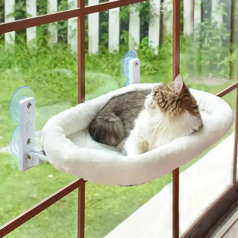 Cat Glass Hanging Suction Cup Hammock