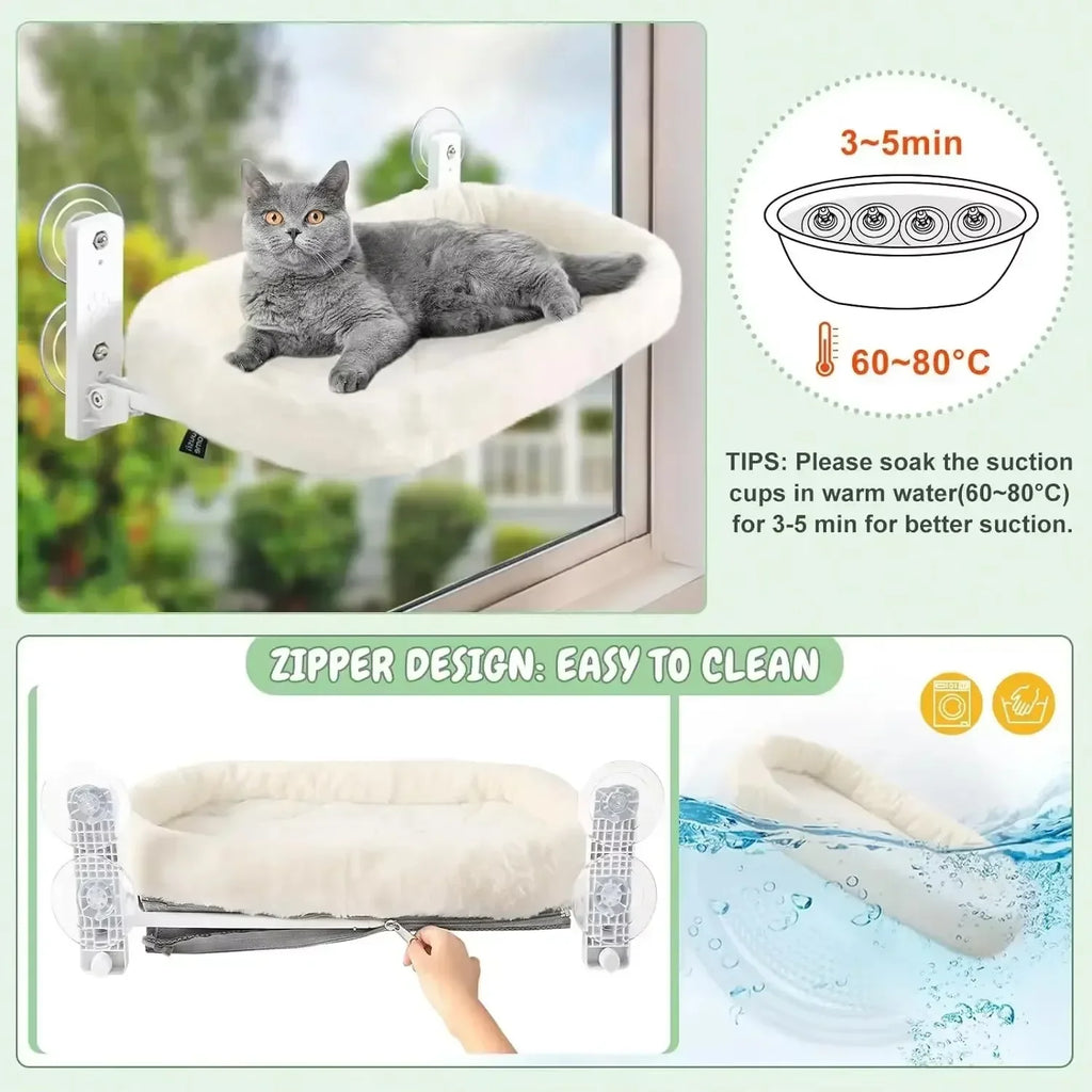 Cat Glass Hanging Suction Cup Hammock