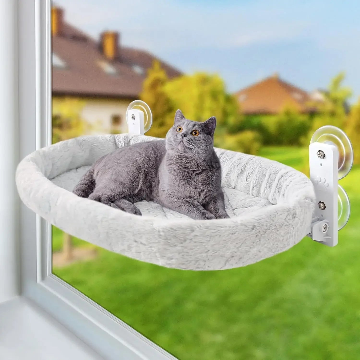 Cat Glass Hanging Suction Cup Hammock