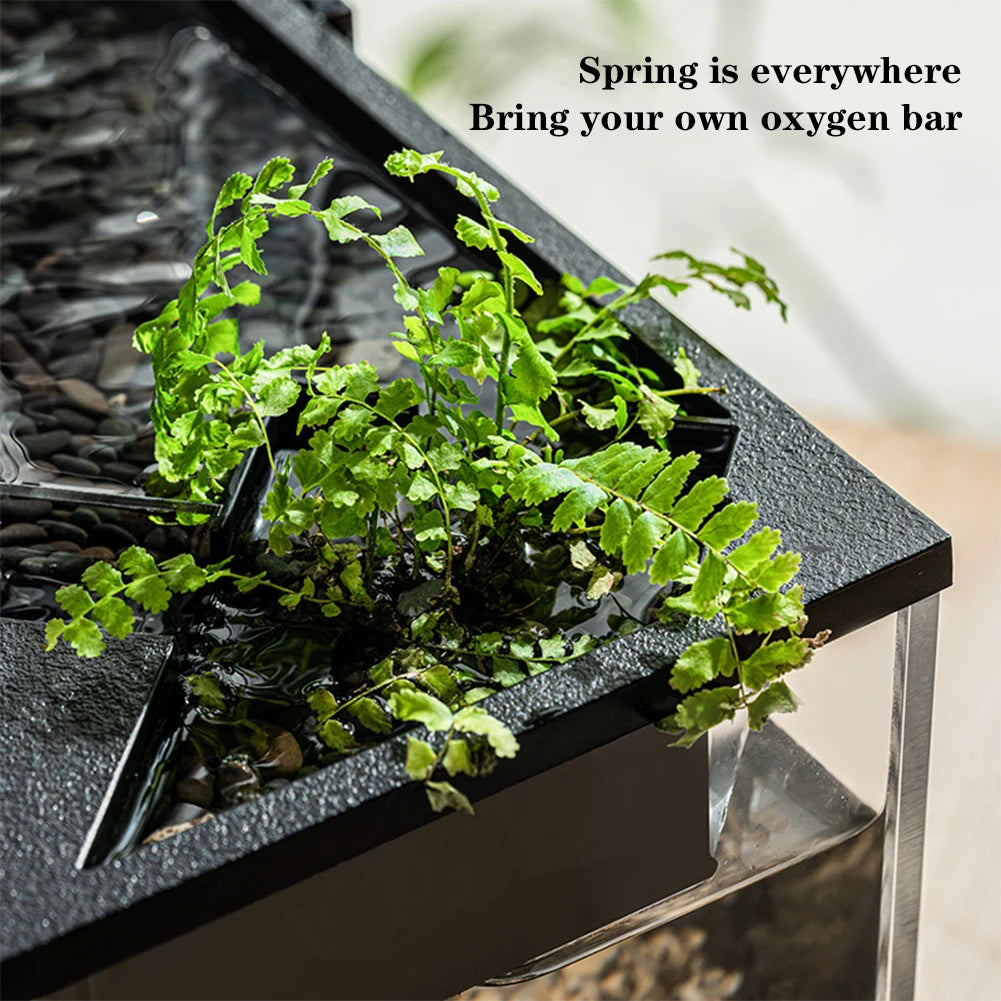 Transparent Aquarium Fish Tank Kit