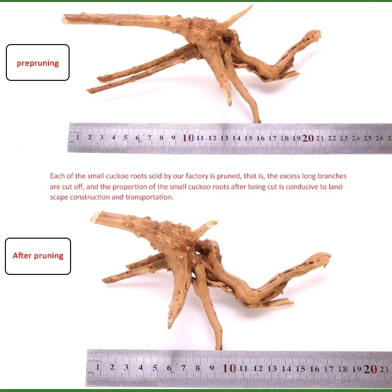 Natural Wooden Small Habitat Roots Fish Tank Decoration