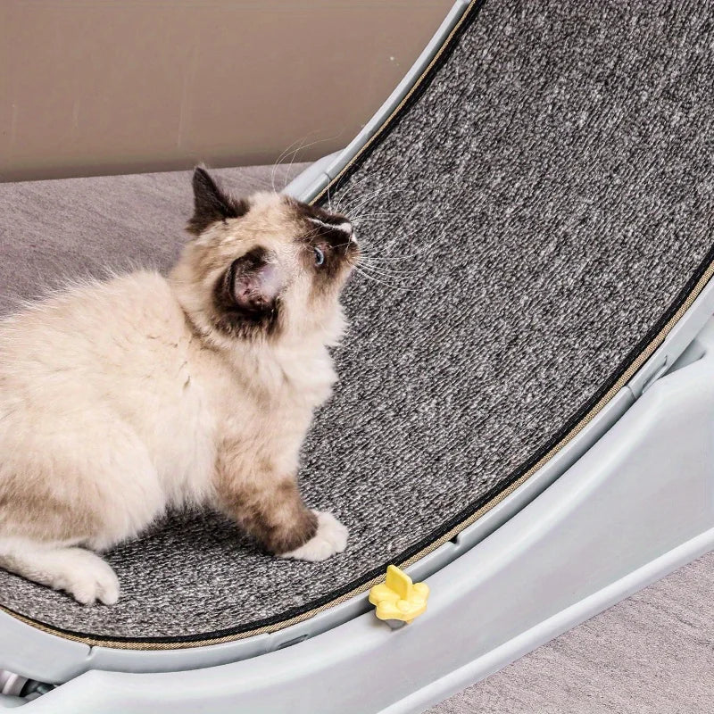 Cat Running Exercise Wheel Treadmill