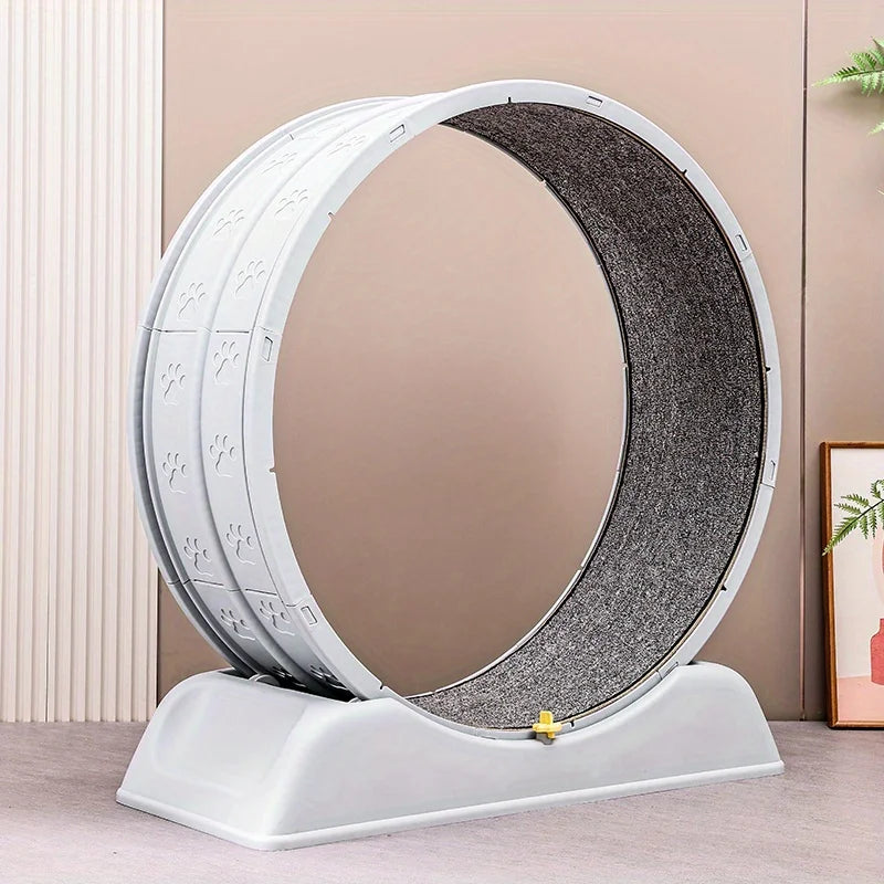 Cat Running Exercise Wheel Treadmill