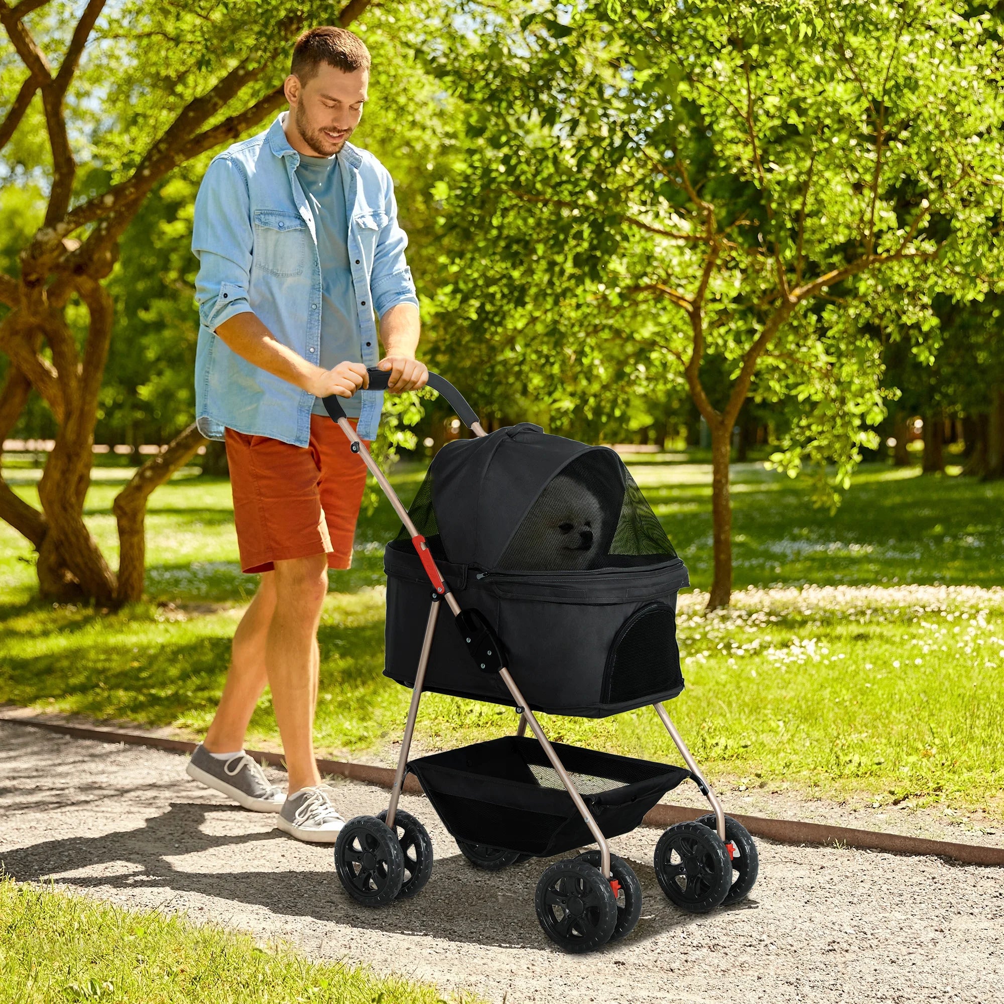 PawHut 3 in 1 Pet Stroller with Detachable Carrier