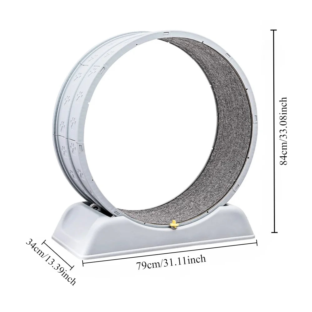 Cat Running Exercise Wheel Treadmill